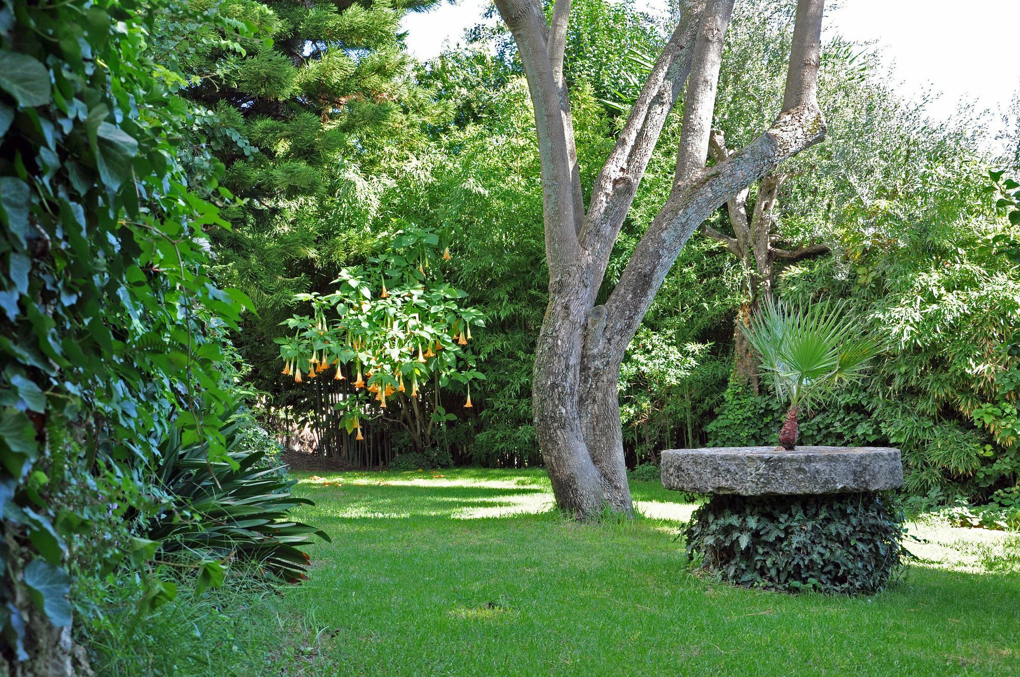 Villa Domenicale Agios Markos Ngoại thất bức ảnh